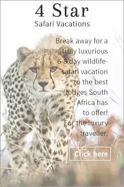 Luxury Star Kruger Park Safari Vacations